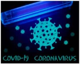 coronavirus SARS-CoV-2