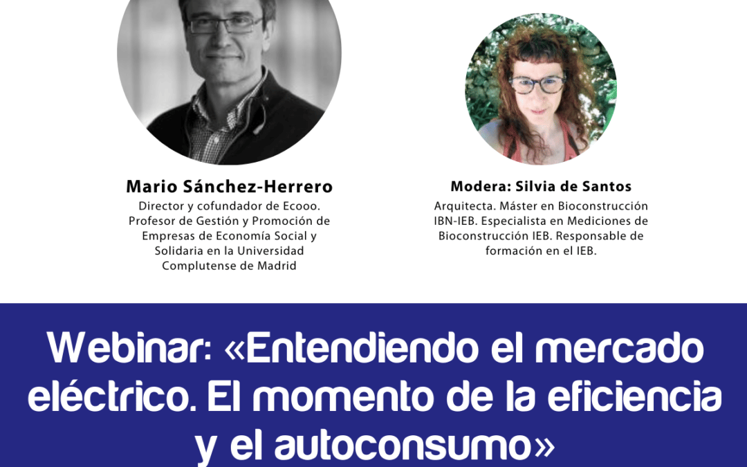 Entendiendo el mercado eléctrico