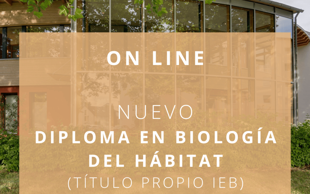 Una formación de bioconstrucción a tu medida