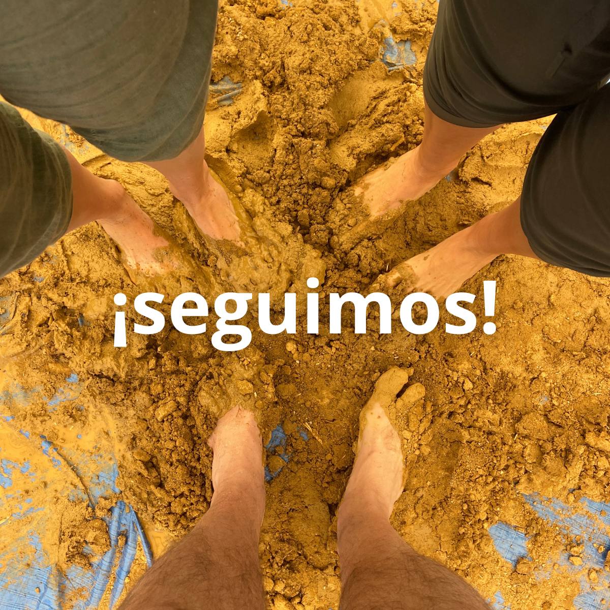 INSTITUTO ESPAÑOL DE BAUBIOLOGIE